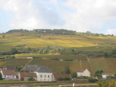 A view of east facing Pommard vinyards.